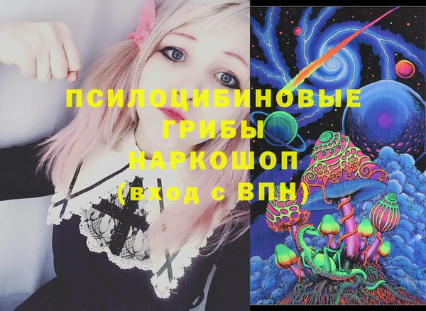 гашик Баксан